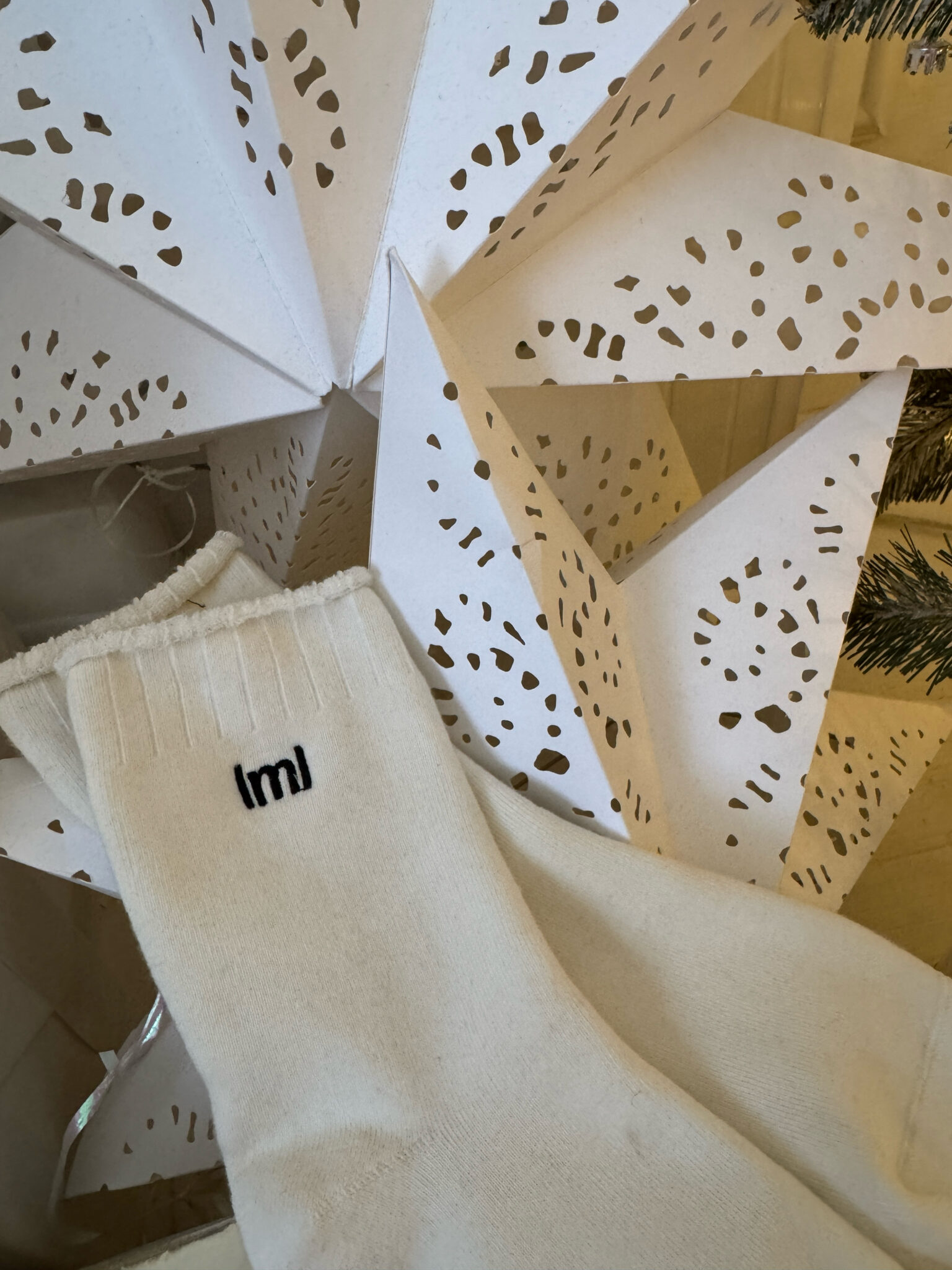 Skarpety PRESENT beż - obrazek 3